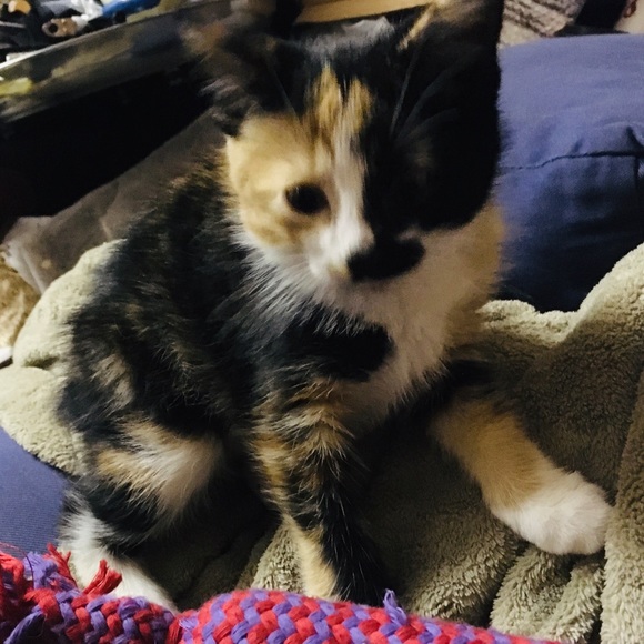 Meet your Posher, Anthi’s_closet - Picture 2 of 2